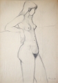 1528×2192 px