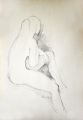 1652×2392 px