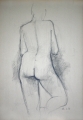 1800×2612 px