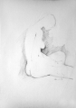 1692×2428 px