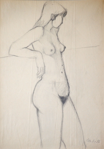 1528×2192 px